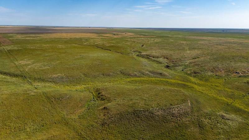 Cimarron County Grass Ranch