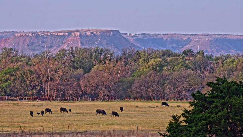 Cottonwood Corners Ranch 