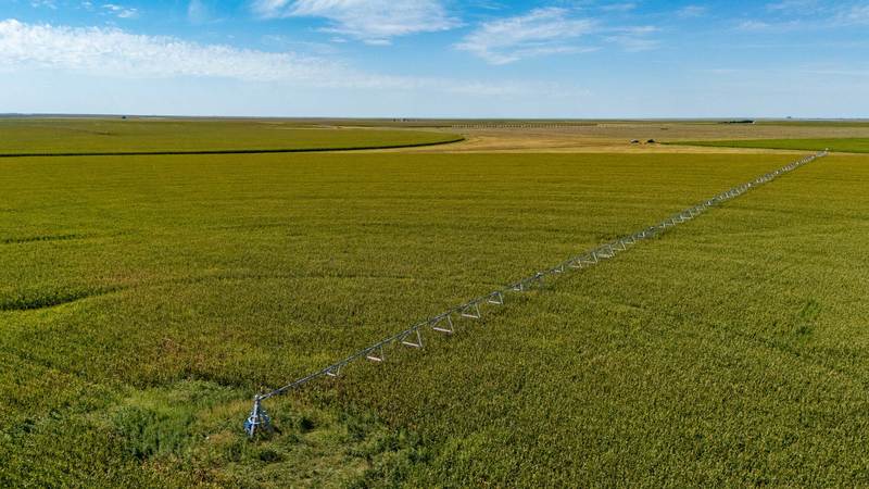 Hawkins 640 Irrigated Farm