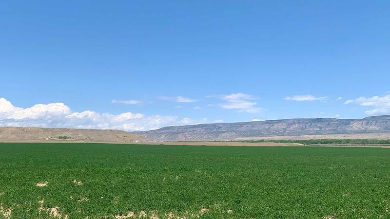 Big Horn Basin Livestock Farm