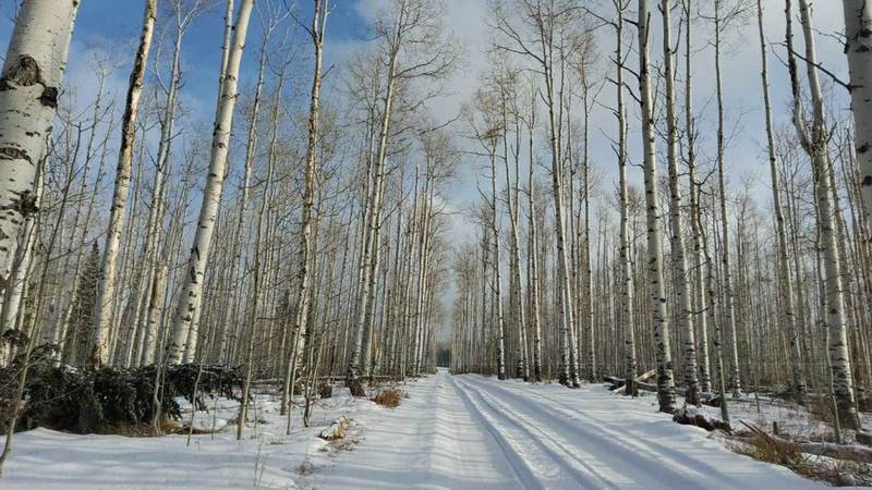 Sandstone Creek - Aspen Alley Ranch