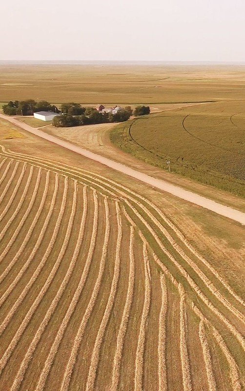 Auction Nebraska Irrigated Farmland November 20th 