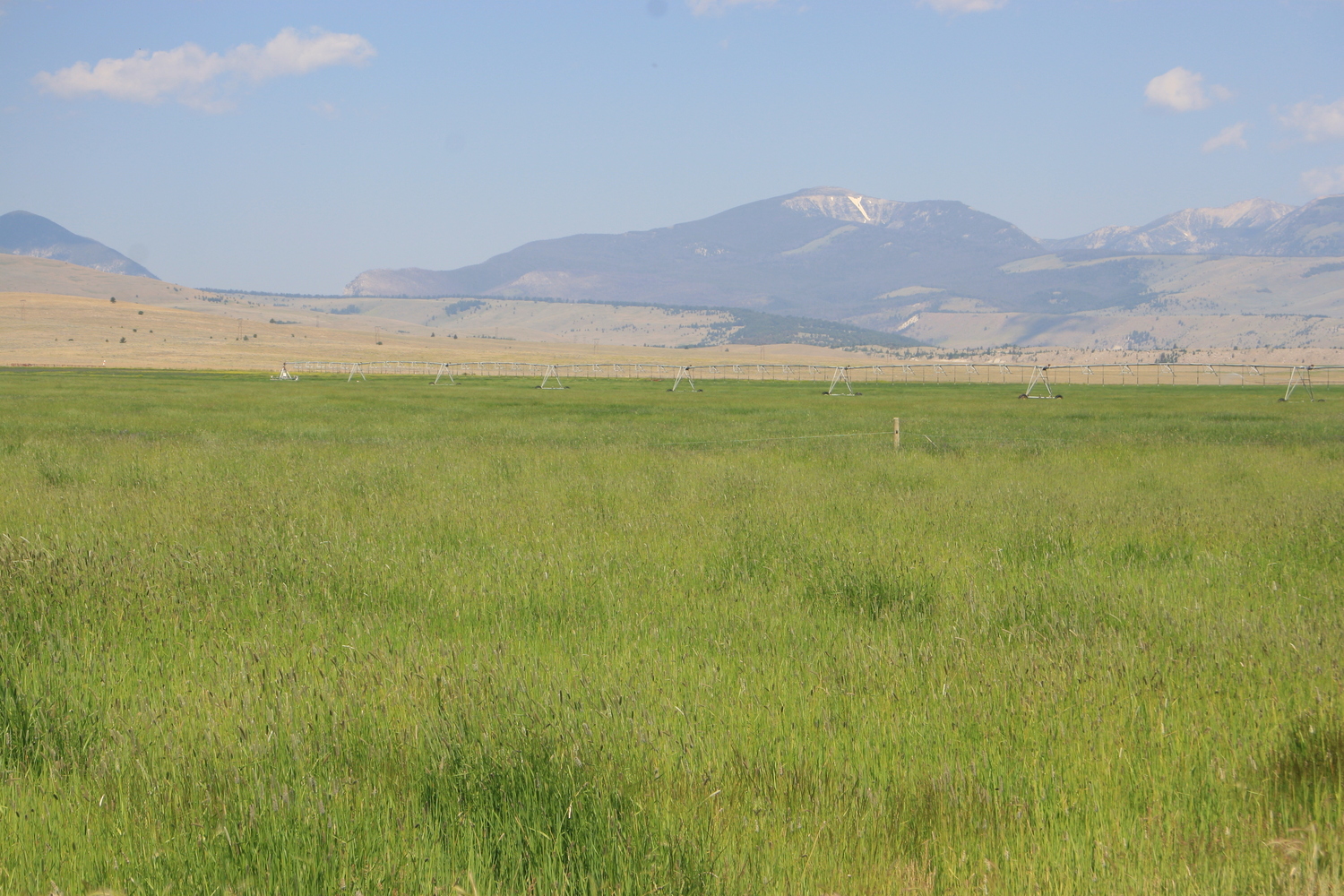 Montana Upper Racetrack Ranch - SOLD | Galen, Montana | Ranchland