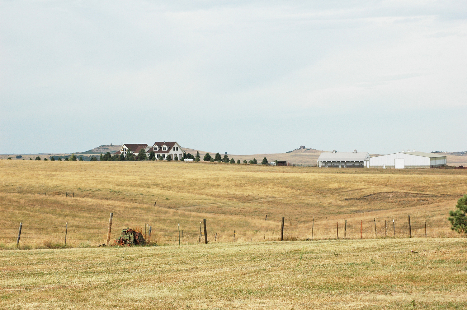 Colorado Greenland Equestrian Ranch | Franktown, Colorado | Ranchland