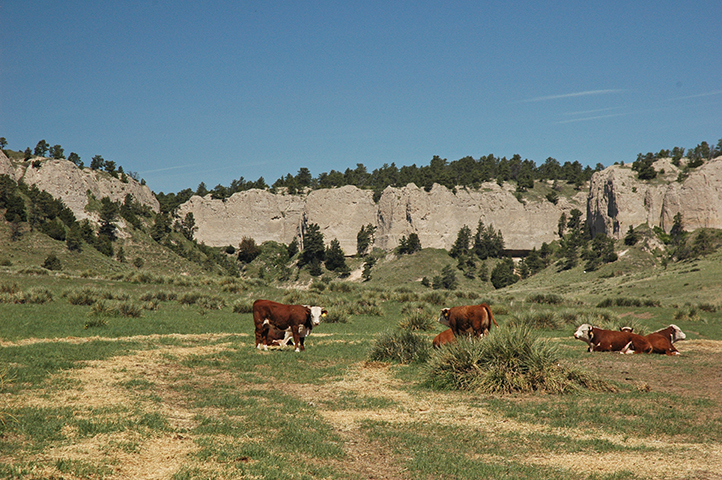 High Point Ranch, Harrisburg Nebraska | NE Ranches for sale