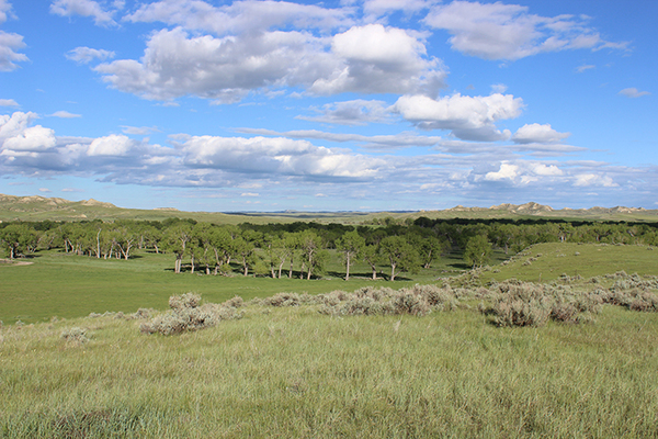 Little Powder River Ranch, Biddle Montana, Powder River county, Farms ...