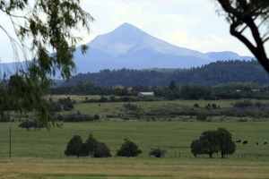 cone lone ranch