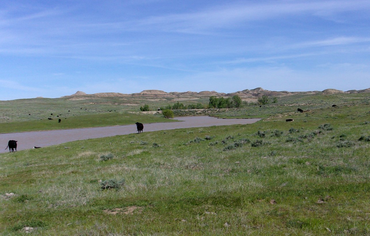 Montana Ellis Ranch Ismay, MT Carter Custer County