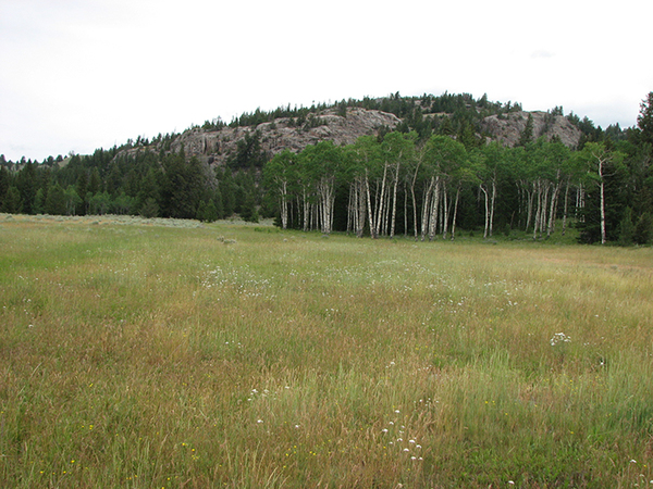 Ghost Creek Ranch Sold Crandall Wyoming Ranchland