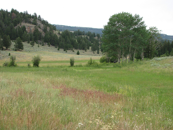 Ghost Creek Ranch Sold Crandall Wyoming Ranchland