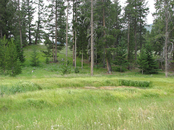 Ghost Creek Ranch Sold Crandall Wyoming Ranchland